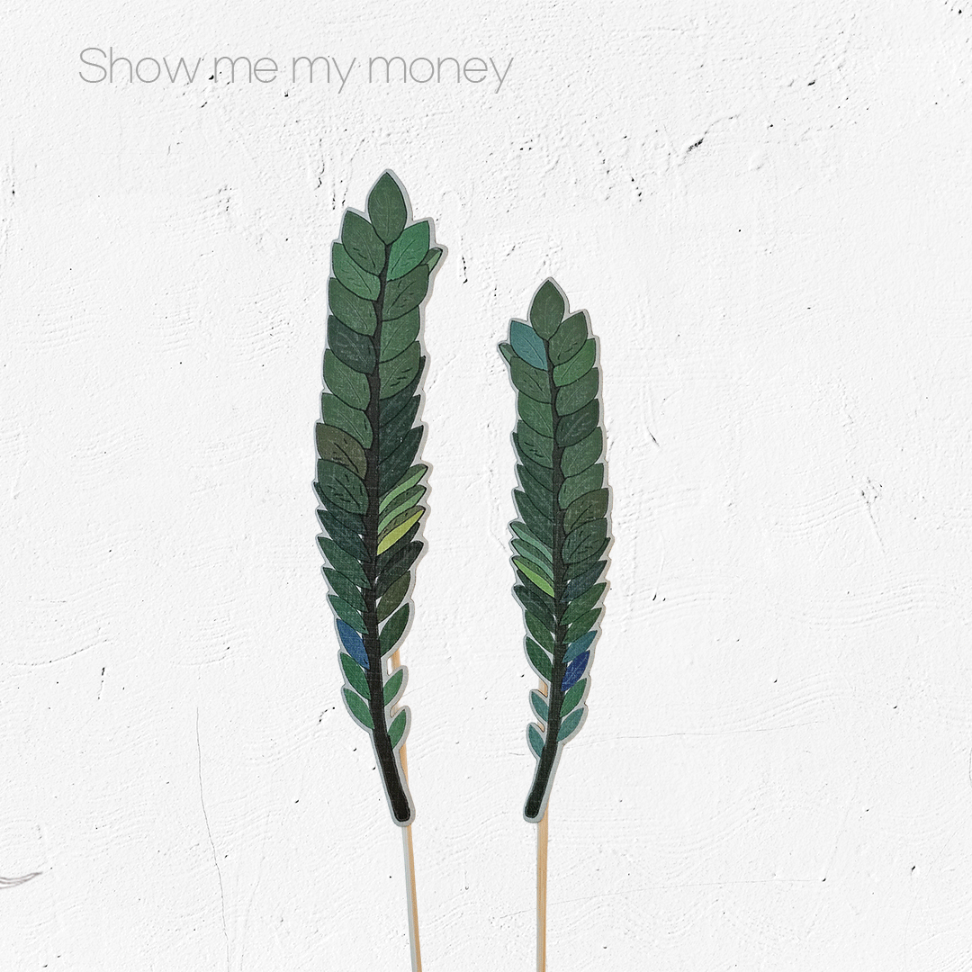 [Show me my money] 금전운