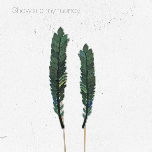 [Show me my money] 금전운